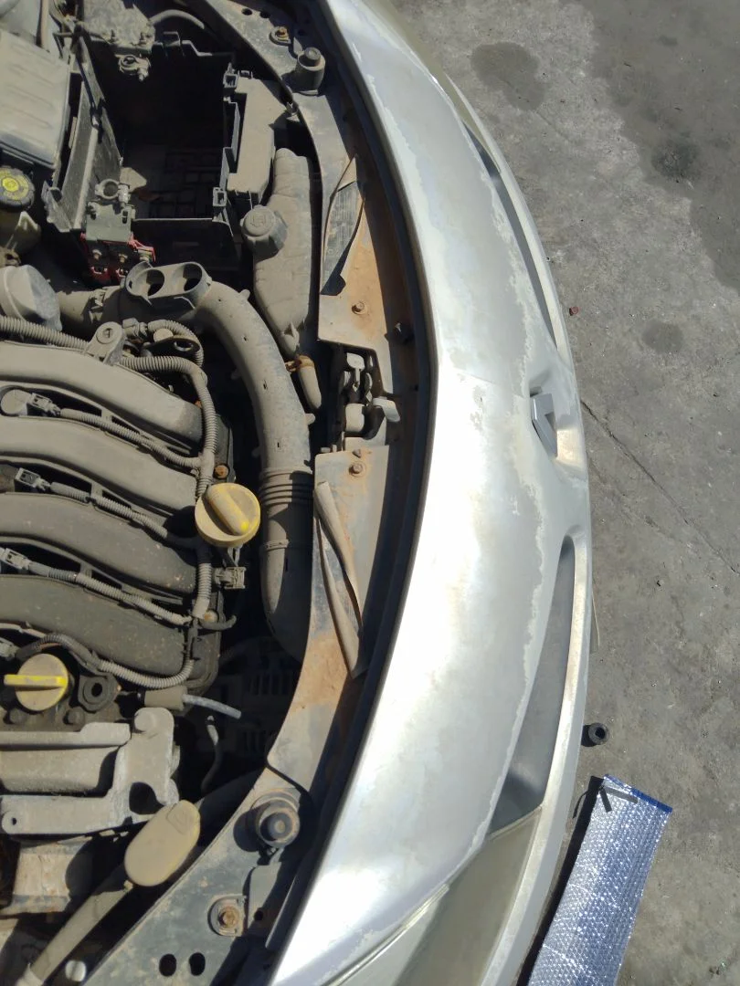 Foto de PANEL FRONTAL RENAULT CLIO III 1.4 16V (98 CV / 72 KW)