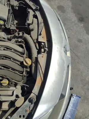 Foto de PANEL FRONTAL RENAULT CLIO III 1.4 16V (98 CV / 72 KW)