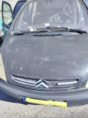 Foto de CAPO CITROEN XSARA PICASSO 1.6 HDi CAT (9HY / DV6TED4) (109 CV / 80 KW) foto 3