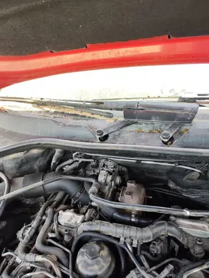 Foto de BRAZO LIMPIA DELANTERO DERECHO AUDI Q7 (4L) 3.0 V6 24V TDI (233 CV / 171 KW) referencia 4L1955408B FKZ