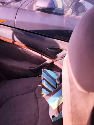 Foto de GUARNECIDO PUERTA TRASERA IZQUIERDA CITROEN C5 BERLINA 2.0 HDi (109 CV / 80 KW)