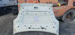 Foto de CAPO FIAT II DOBLÒ (263) CARGO 1.3 16V JTD CAT (90 CV / 66 KW) referencia 0051810378 foto 2