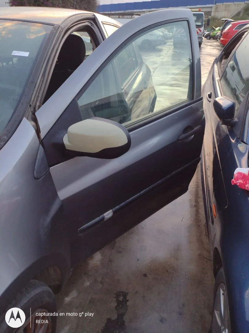 Foto de PUERTA DELANTERA IZQUIERDA RENAULT CLIO III 1.2 16V (75 CV / 55 KW)