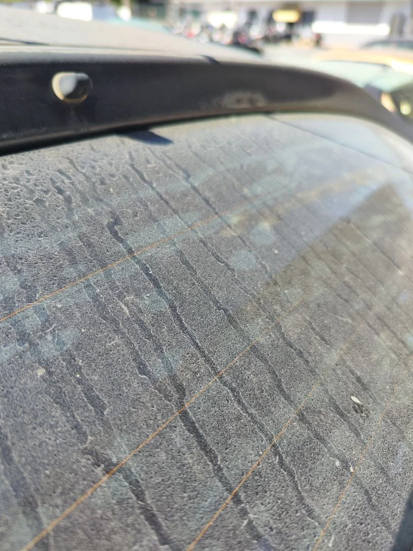 Foto de LUNA TRASERA IZQUIERDA CITROEN XSARA PICASSO 1.6 HDi CAT (9HY / DV6TED4) (109 CV / 80 KW)