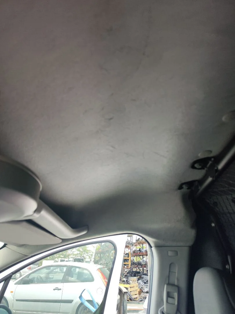 Foto de TECHO INTERIOR CITROEN BERLINGO FURGÓN 1.6 16V HDi FAP (90 CV / 66 KW) referencia 16799768BJ