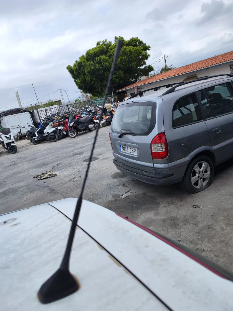 Foto de ANTENA RENAULT CLIO III 1.5 dCi Diesel FAP (75 CV / 55 KW)