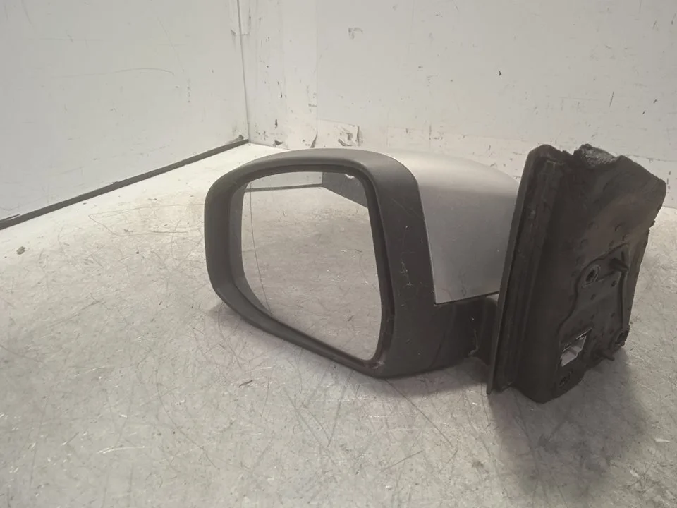 Foto de RETROVISOR IZQUIERDO FORD FOCUS BERLINA (CEW) 1.0 EcoBoost CAT (125 CV / 92 KW) referencia E9024550