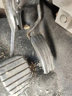 Foto de POTENCIOMETRO PEDAL RENAULT SCENIC II (JM) 1.5 dCi Diesel (106 CV / 78 KW)
