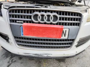 Foto de REJILLA DELANTERA AUDI Q7 (4L) 3.0 V6 24V TDI (233 CV / 171 KW)