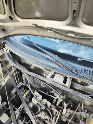 Foto de BRAZO LIMPIA DELANTERO DERECHO FIAT II PUNTO (188) BERLINA 1.2 CAT (60 CV / 44 KW) referencia 0735278792