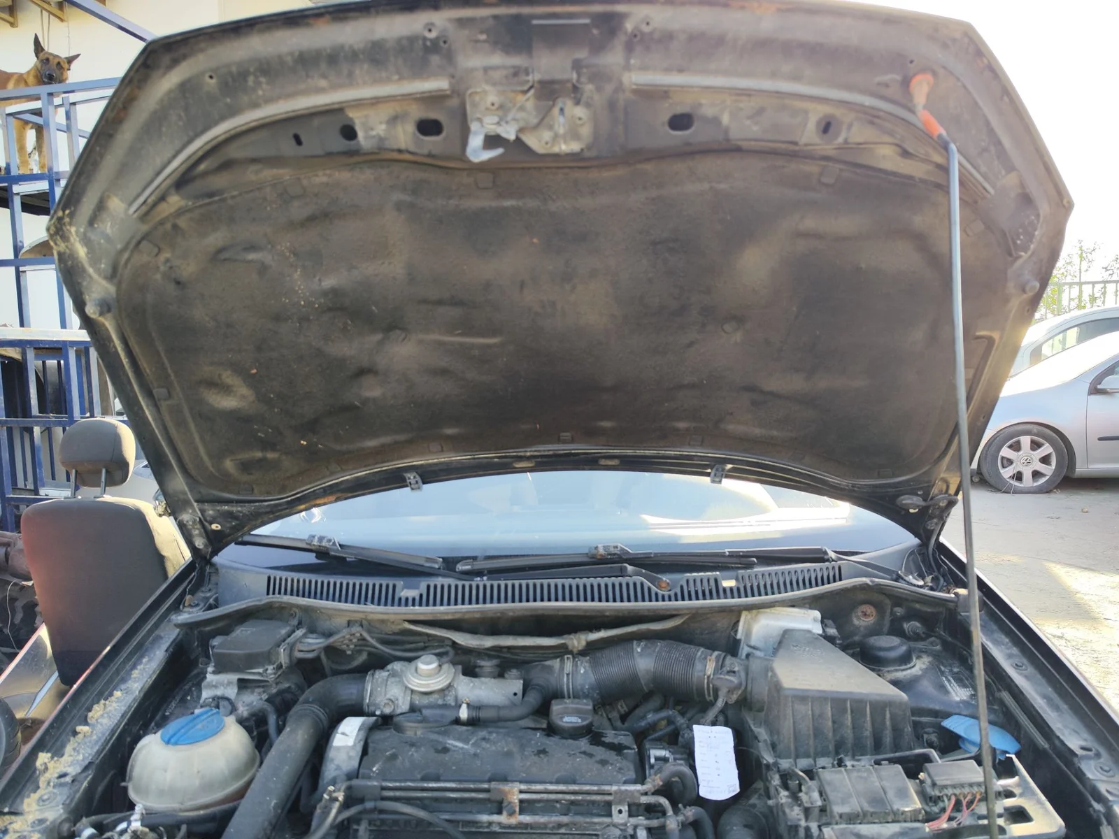 Foto de CAPO VOLKSWAGEN POLO IV (9N3) 1.9 TDI (101 CV / 74 KW) referencia 6Q0823031J