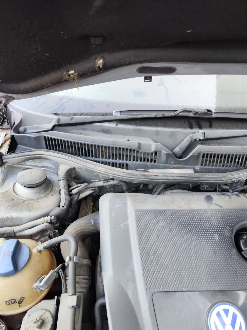 Foto de BRAZO LIMPIA DELANTERO DERECHO VOLKSWAGEN GOLF IV BERLINA (1J1)(10.1997) 1.9 TDI (131 CV / 96 KW)