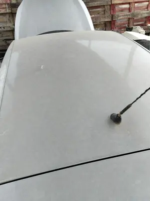 Foto de TECHO SEAT ALTEA (5P1) 1.9 TDI (105 CV / 77 KW)
