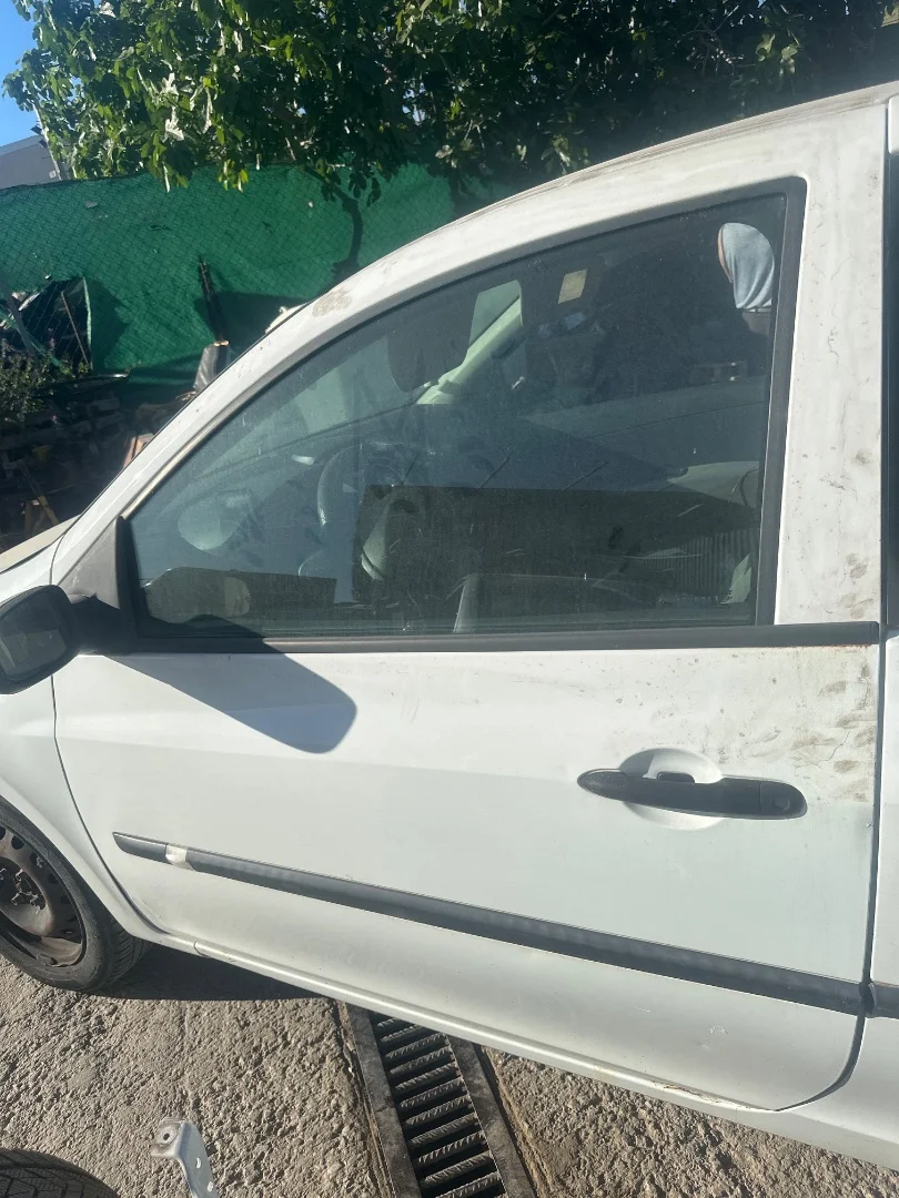 Foto de PUERTA DELANTERA IZQUIERDA RENAULT CLIO III 1.5 dCi Diesel (68 CV / 50 KW)