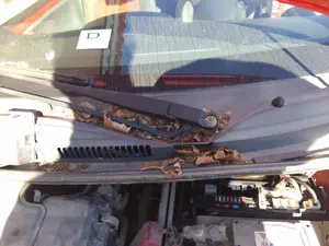 Foto de MOTOR LIMPIA DELANTERO PEUGEOT 107 1.0 CAT (384F) (68 CV / 50 KW) referencia 6405HT