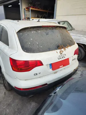 Foto de PORTON TRASERO AUDI Q7 (4L) 3.0 V6 24V TDI (233 CV / 171 KW) foto 3