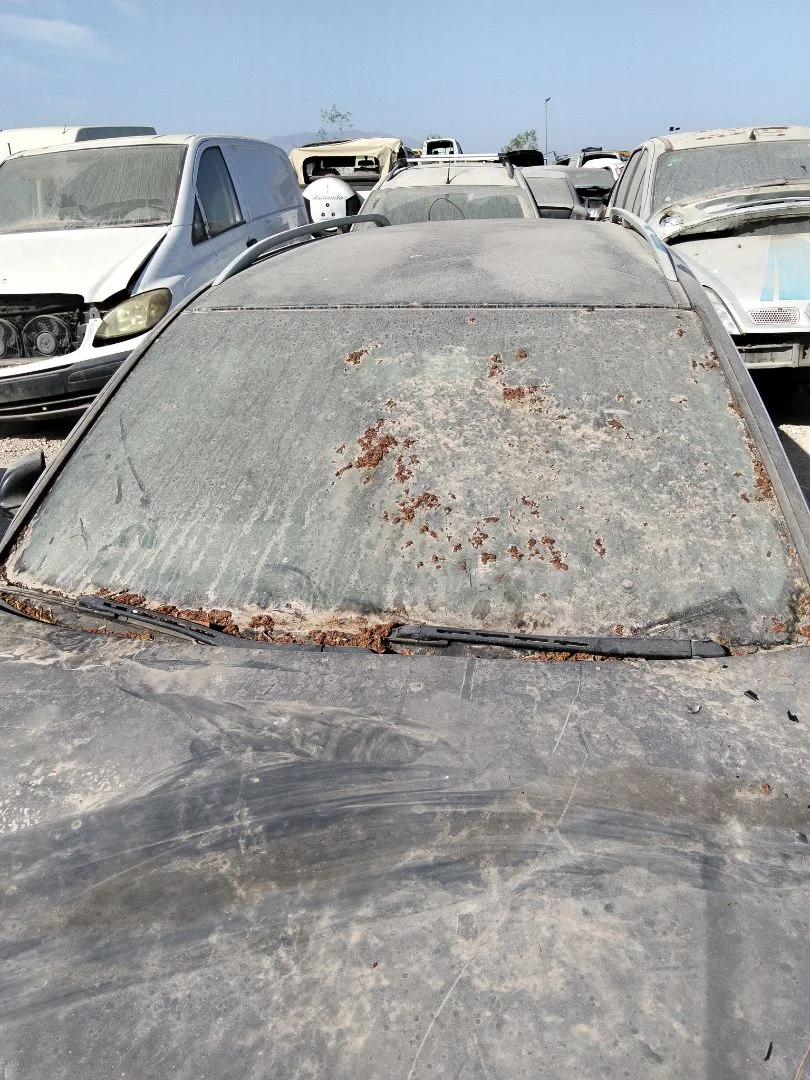 Foto de PARABRISAS AUDI A4 AVANT (8E) 1.9 TDI (131 CV / 96 KW) referencia 8E0845099P NVB