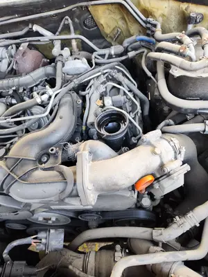 Foto de MOTOR COMPLETO AUDI Q7 (4L) 3.0 V6 24V TDI (233 CV / 171 KW) referencia BKS foto 4