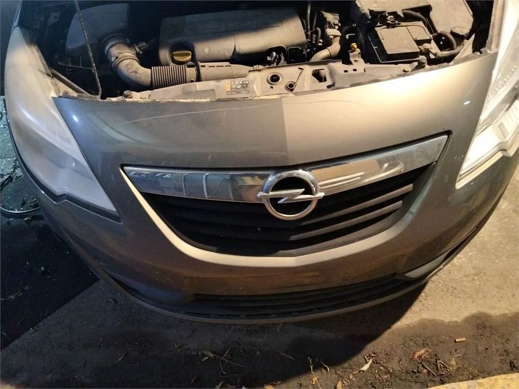 Foto de PANEL FRONTAL OPEL MERIVA B