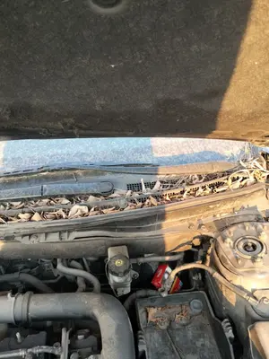 Foto de MOTOR LIMPIA DELANTERO MAZDA 6 BERLINA (GH) 2.2 Turbodiesel CAT (163 CV / 120 KW) referencia GS1D-67-340