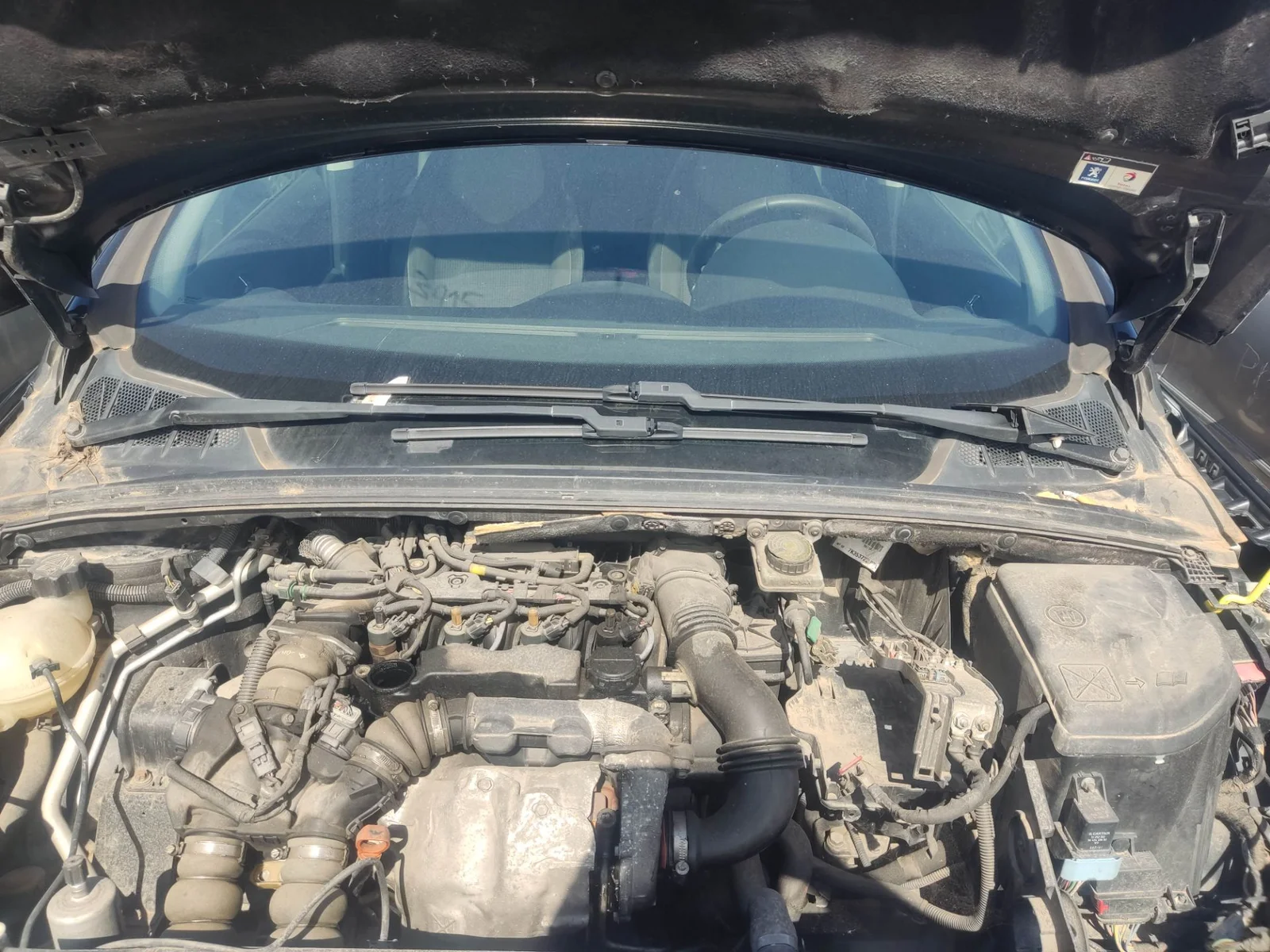 Foto de MOTOR LIMPIA DELANTERO PEUGEOT 308 1.6 HDi FAP CAT (9HZ / DV6TED4) (109 CV / 80 KW) referencia 6405HY
