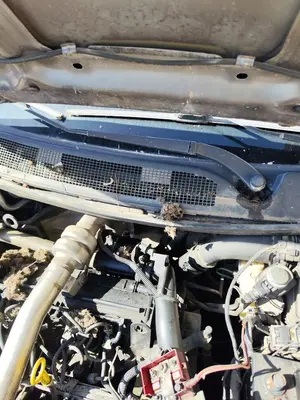 Foto de BRAZO LIMPIA DELANTERO DERECHO RENAULT MEGANE II BERLINA 5P 1.5 dCi Diesel (101 CV / 74 KW)