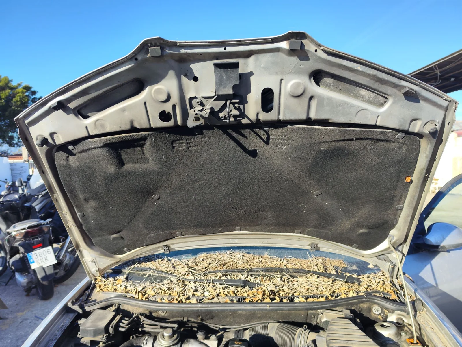 Foto de CAPO SEAT CORDOBA BERLINA (6L2) 1.9 TDI (131 CV / 96 KW) referencia 6L0823031D