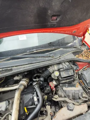 Foto de TORPEDO RENAULT CLIO III 1.5 dCi Diesel CAT (86 CV / 63 KW)