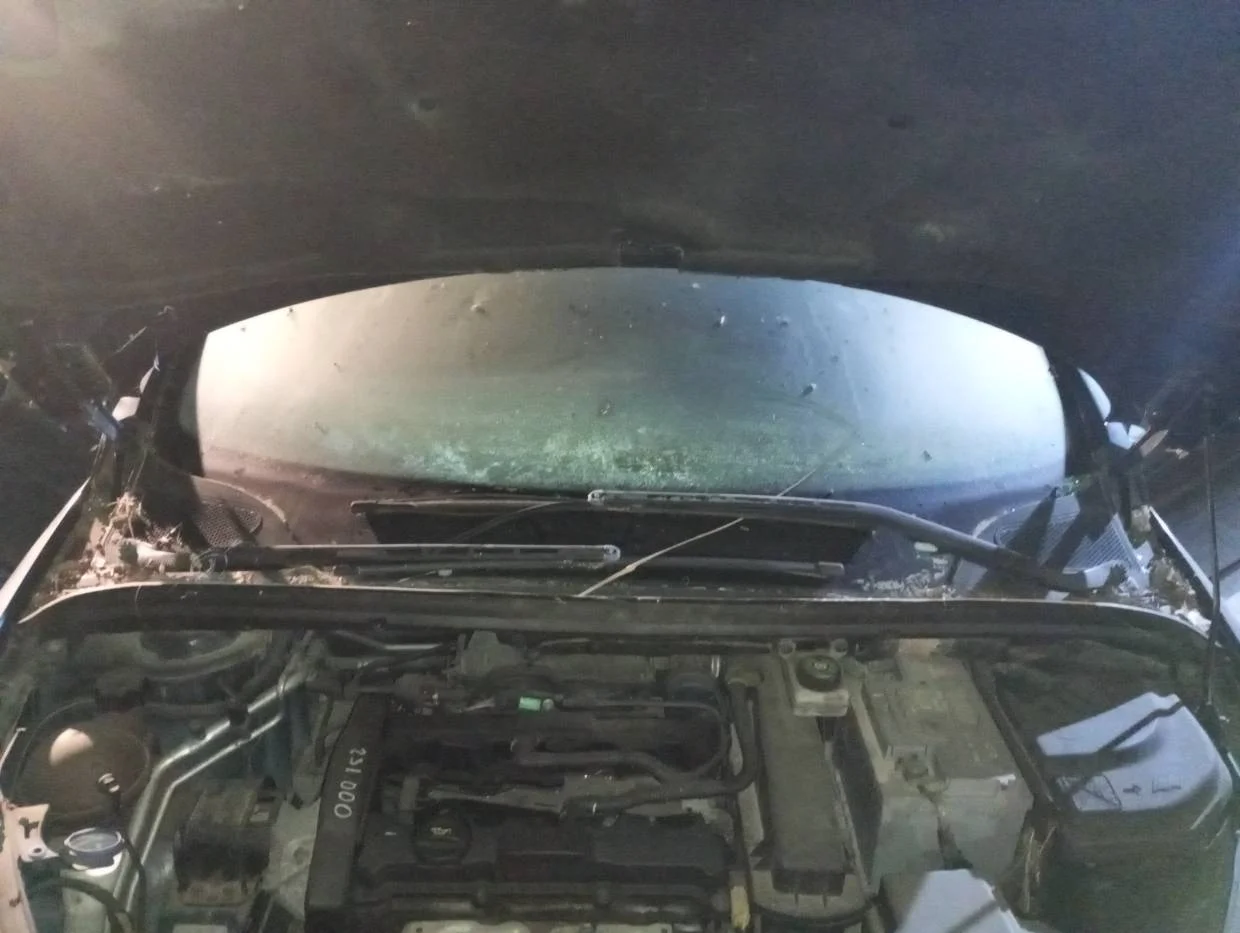 Foto de MOTOR LIMPIA DELANTERO PEUGEOT 307 CC CABRIO-COUPÉ (S2)