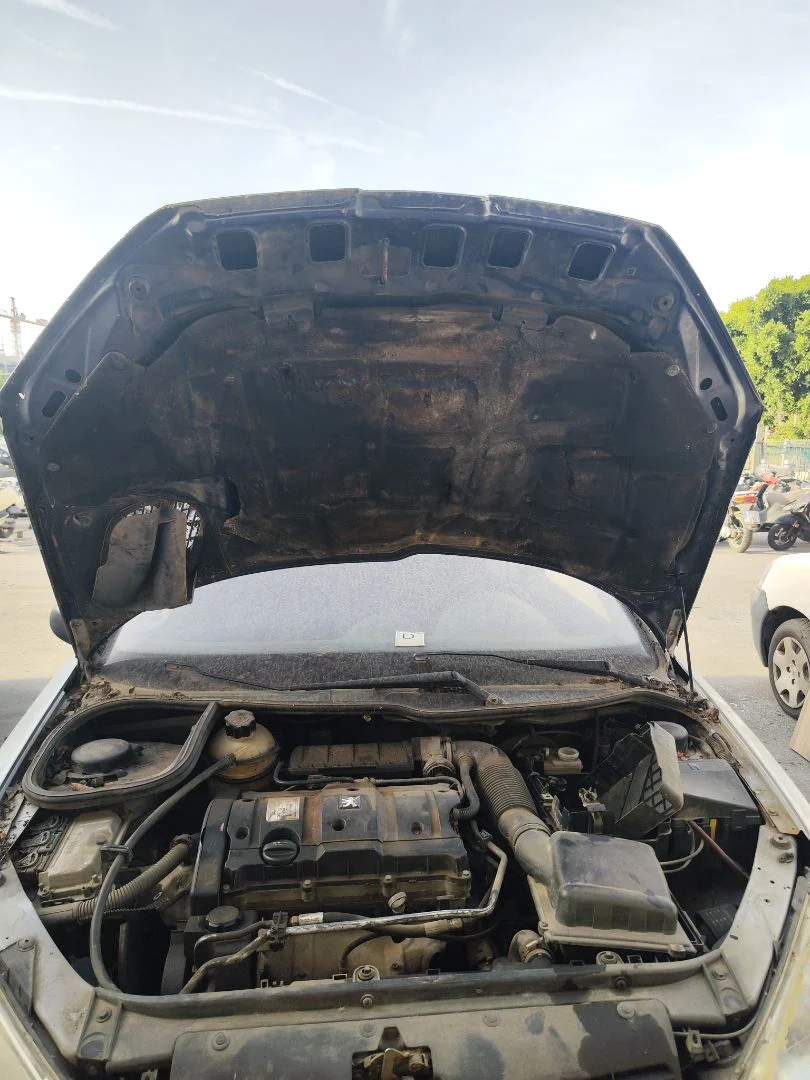 Foto de CAPO PEUGEOT 206 1.6 16V CAT (109 CV / 80 KW) referencia 7901K1