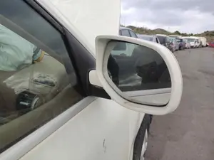 Foto de RETROVISOR DERECHO PORSCHE CAYENNE (TIPO 92A) 3.0 V6 TDI CAT (239 CV / 176 KW) foto 2