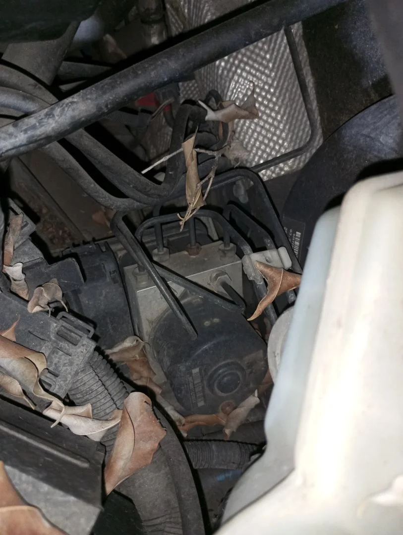 Foto de ABS FORD FIESTA (CBK) 1.25 16V CAT (69 CV / 51 KW) referencia 10096001063