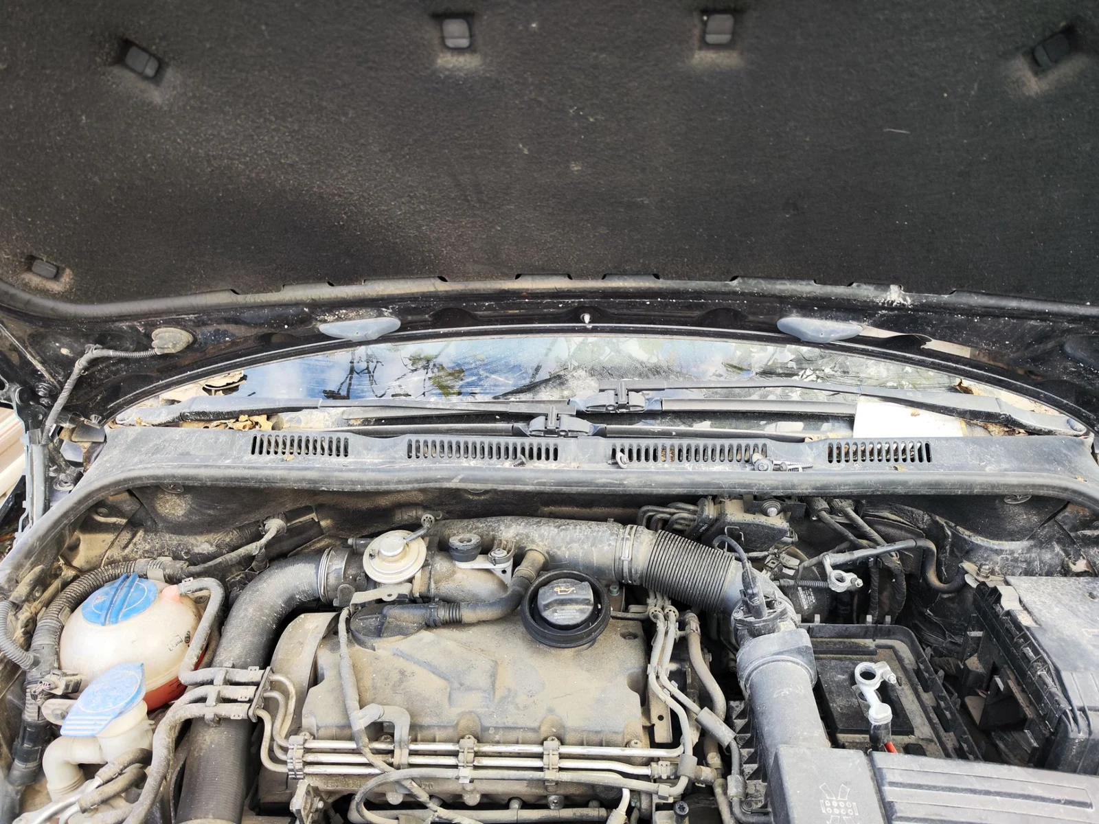 Foto de ARTICULACION LIMPIA DELANTERA VOLKSWAGEN GOLF PLUS V (5M1) 1.9 TDI (105 CV / 77 KW)