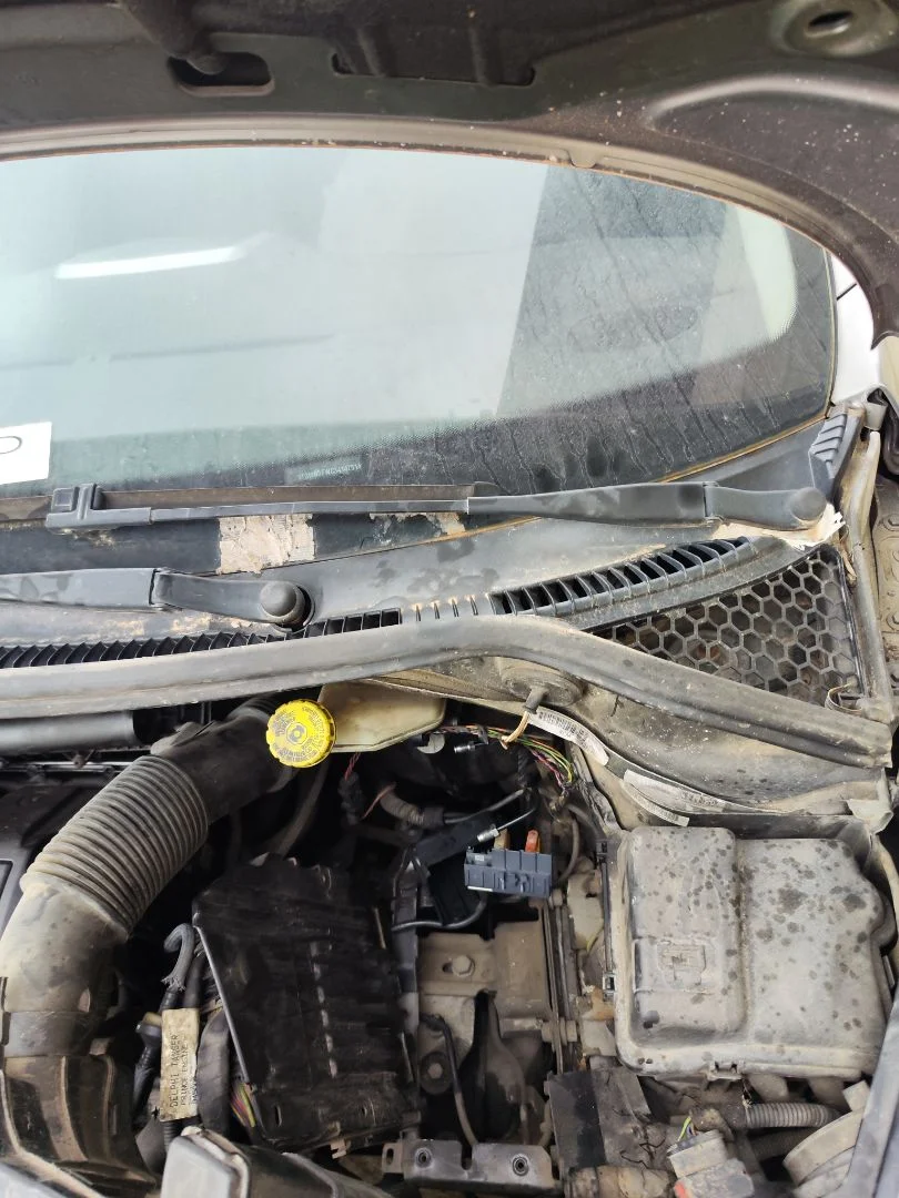 Foto de BRAZO LIMPIA DELANTERO IZQUIERDO PEUGEOT 207 CC CABRIO-COUPÉ 1.6 16V (120 CV / 88 KW)