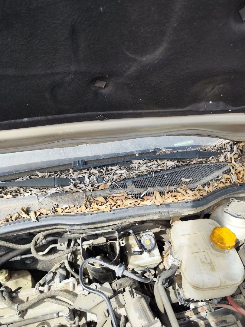 Foto de BRAZO LIMPIA DELANTERO IZQUIERDO OPEL ASTRA H BERLINA 1.7 16V CDTI (110 CV / 81 KW) referencia 93178941