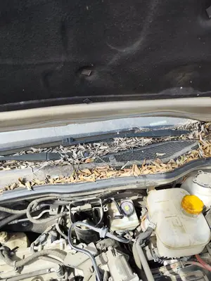 Foto de BRAZO LIMPIA DELANTERO IZQUIERDO OPEL ASTRA H BERLINA 1.7 16V CDTI (110 CV / 81 KW) referencia 93178941