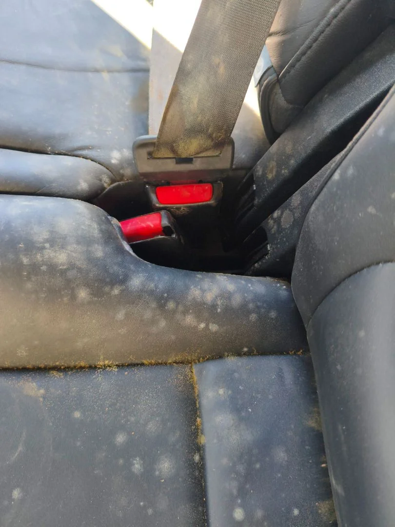 Foto de ENGANCHE CINTURON TRASERO CENTRAL LAND ROVER RANGE ROVER SPORT 4.4 V8 CAT (299 CV / 220 KW)