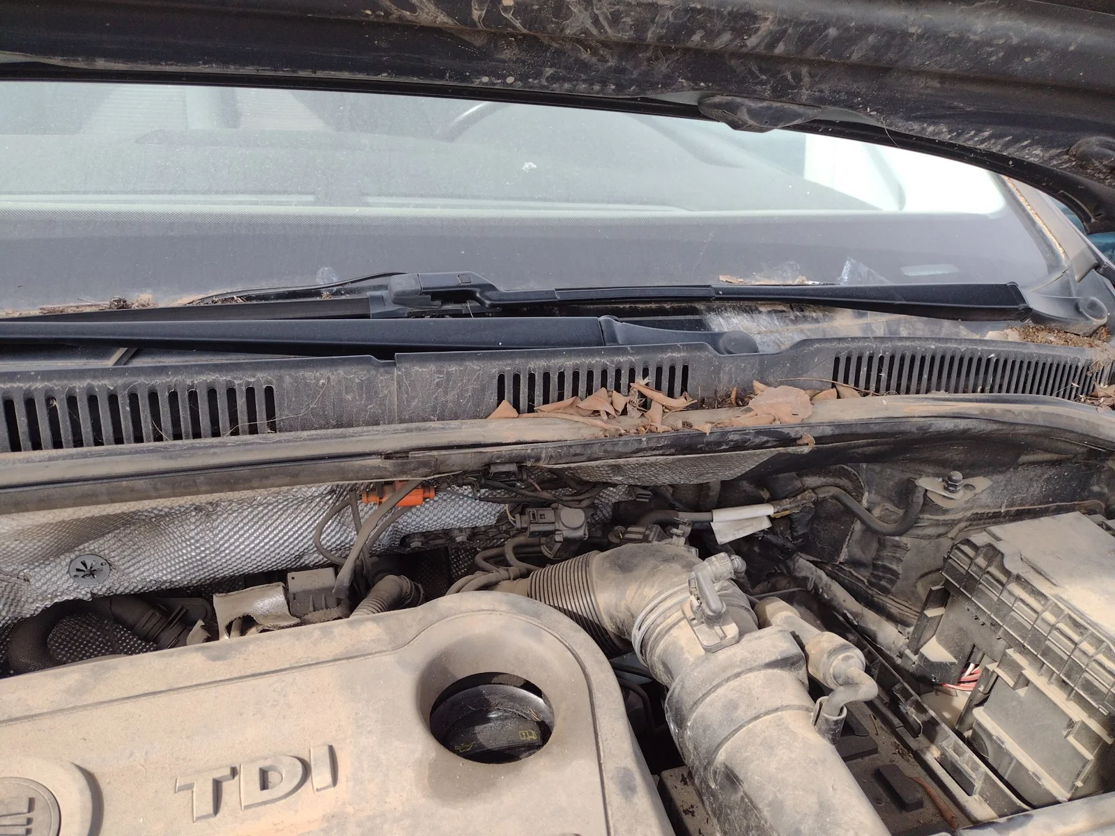 Foto de MOTOR LIMPIA DELANTERO SEAT ALHAMBRA (710) 2.0 TDI (140 CV / 103 KW)