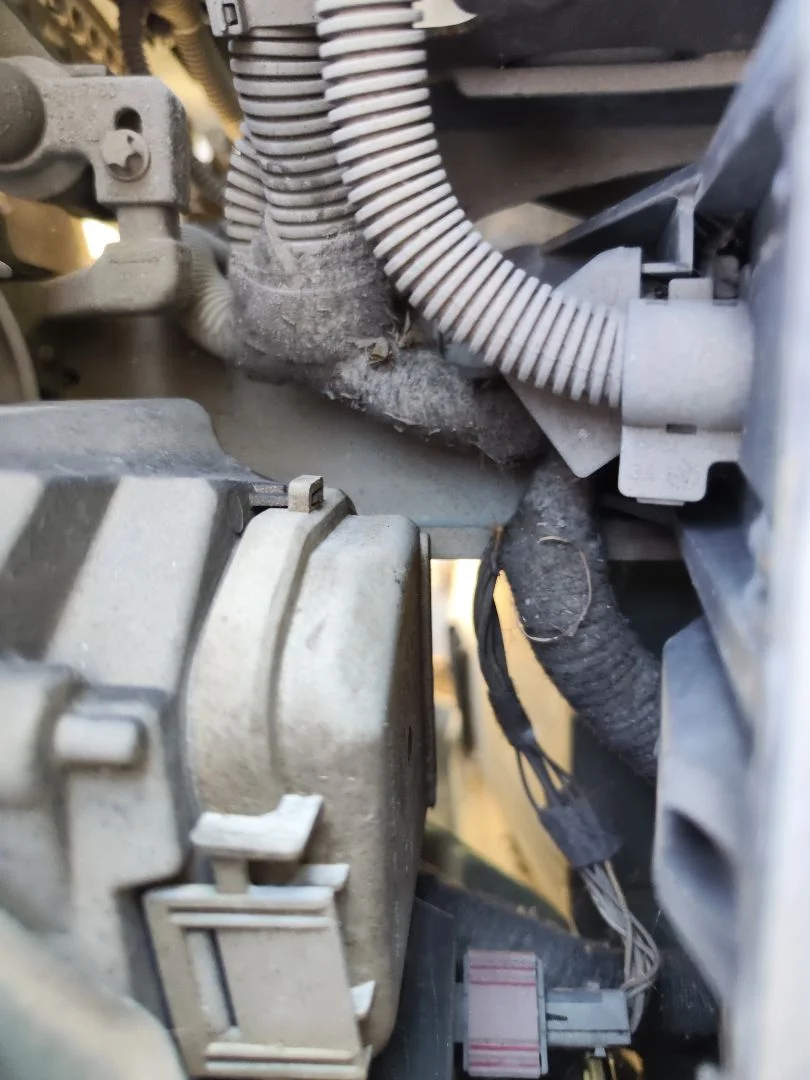 Foto de PUNTA CHASIS DELANTERA OPEL CORSA C 1.2 16V CAT (Z 12 XEP / LB4) (80 CV / 59 KW)