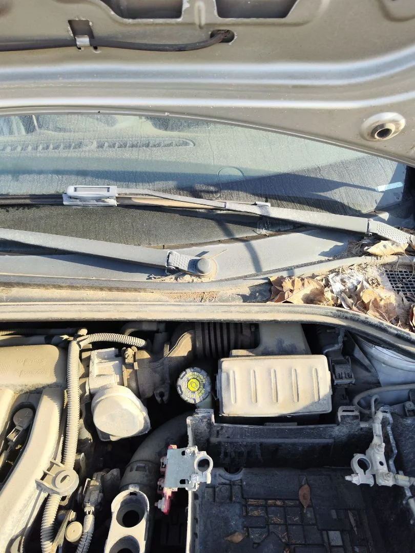 Foto de MOTOR LIMPIA DELANTERO RENAULT CLIO III 1.4 16V (98 CV / 72 KW)
