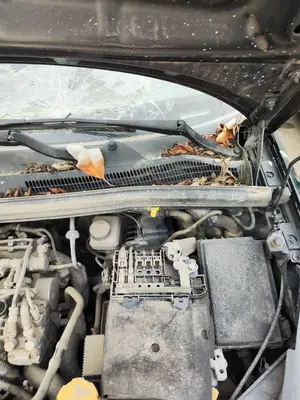 Foto de MOTOR LIMPIA DELANTERO OPEL CORSA D 1.3 16V CDTI (75 CV / 55 KW)
