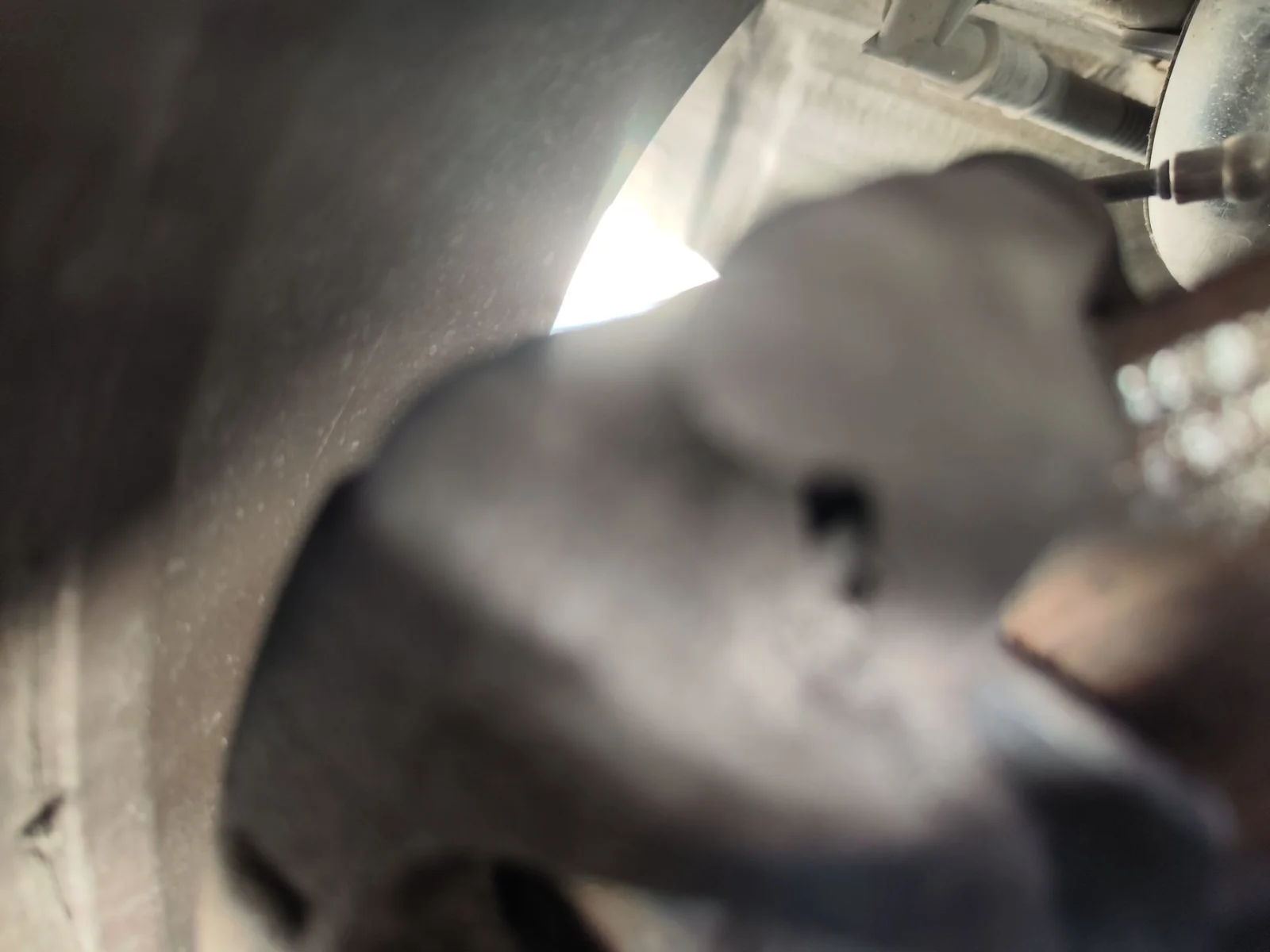 Foto de PINZA DE FRENO TRASERA DERECHA CITROEN C4 BERLINA 1.6 16V HDi (90 CV / 66 KW) referencia 4400N5