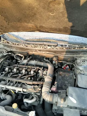 Foto de TORPEDO MAZDA 6 BERLINA (GH) 2.2 Turbodiesel CAT (163 CV / 120 KW)