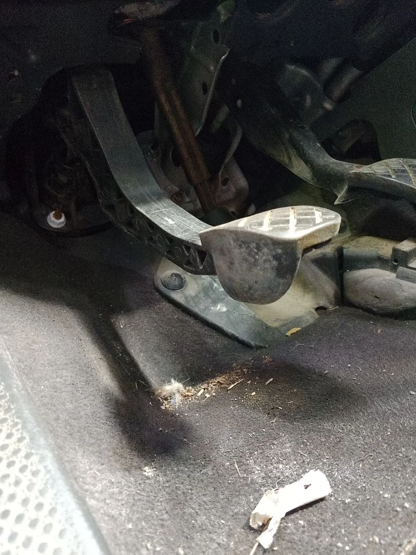 Foto de PEDAL EMBRAGUE VOLKSWAGEN GOLF PLUS V (5M1) 1.9 TDI (105 CV / 77 KW)