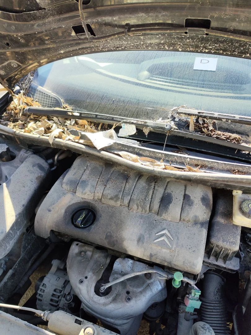 Foto de BRAZO LIMPIA DELANTERO DERECHO CITROEN C4 COUPE 1.4 16V (88 CV / 65 KW)