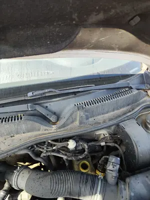 Foto de MOTOR LIMPIA DELANTERO SEAT LEON (1M1) 1.9 TDI (90 CV / 66 KW)