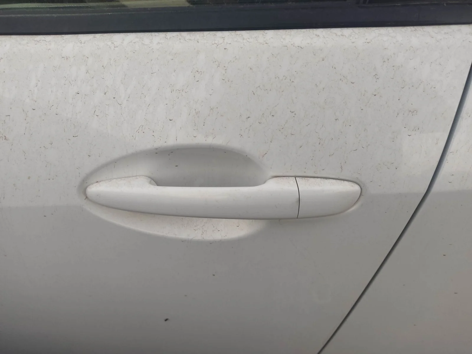 Foto de MANETA INTERIOR TRASERA IZQUIERDA MAZDA 2 BERLINA (DE) 1.3 16V CAT (75 CV / 55 KW)