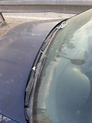 Foto de BRAZO LIMPIA DELANTERO IZQUIERDO SEAT CORDOBA BERLINA (6K2)