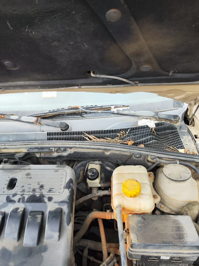 Foto de MOTOR LIMPIA DELANTERO CHEVROLET LACETTI 1.4 CAT (95 CV / 70 KW) referencia 96442580