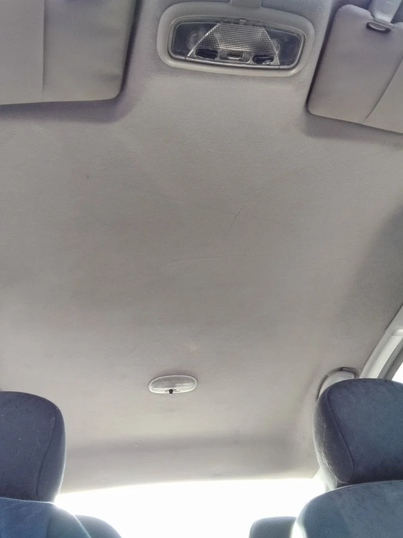 Foto de TECHO INTERIOR FORD FOCUS BERLINA (CAK) 1.6 16V CAT (101 CV / 74 KW) referencia 1136525